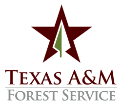 texas_A&M_forest_service.png